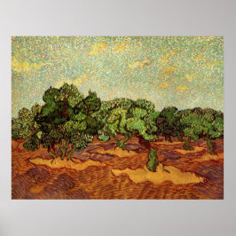 Olivlund, blekt blå himmel av Vincent van Gogh Poster