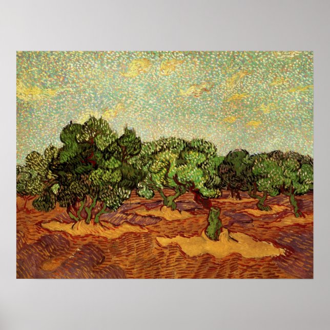 Olivlund, blekt blå himmel av Vincent van Gogh Poster (Framsidan)