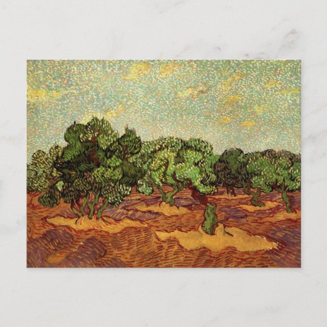 Olivlund, blekt blå himmel av Vincent van Gogh Vykort (Framsida)
