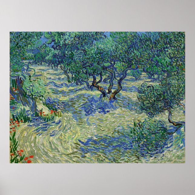Olivlund, Vincent van Gogh   Poster (Framsidan)