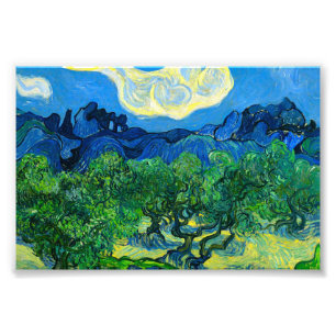 Olivoträd av Van Gogh i ett bergigt landskap Fototryck