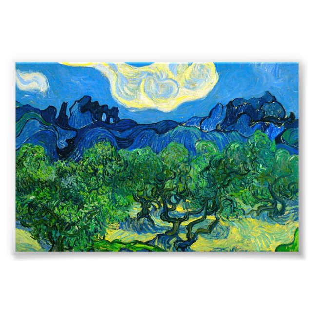 Olivoträd av Van Gogh i ett bergigt landskap Fototryck (Framsidan)