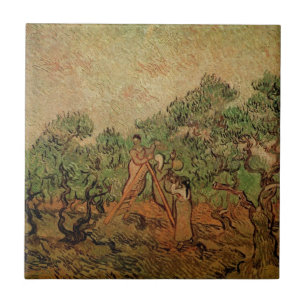 Olivskörd av Vincent van Gogh Kakelplatta