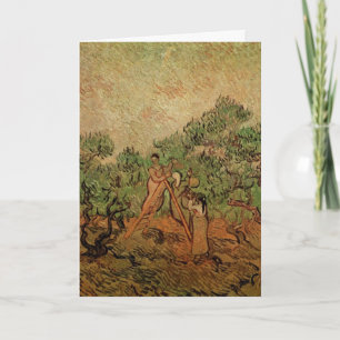 Olivskörd av Vincent van Gogh Kort