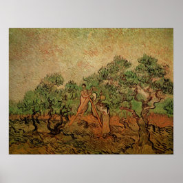 Olivskörd av Vincent van Gogh Poster