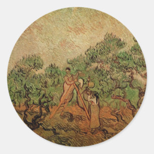 Olivskörd av Vincent van Gogh Runt Klistermärke