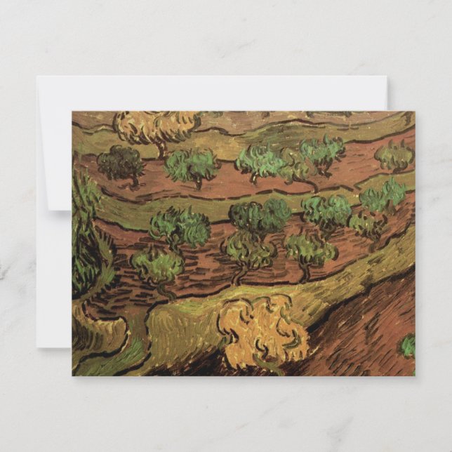 Olivträd av Van Gogh mot en kullebacke (Framsida)