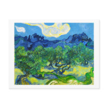 Olivträd med Alpilles i bakgrunden