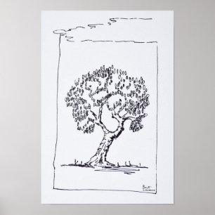 Olivträd Södra Frankrike Poster