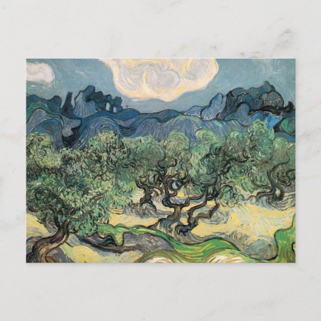 Olivträd, Vincent van Gogh Vykort (Framsida)