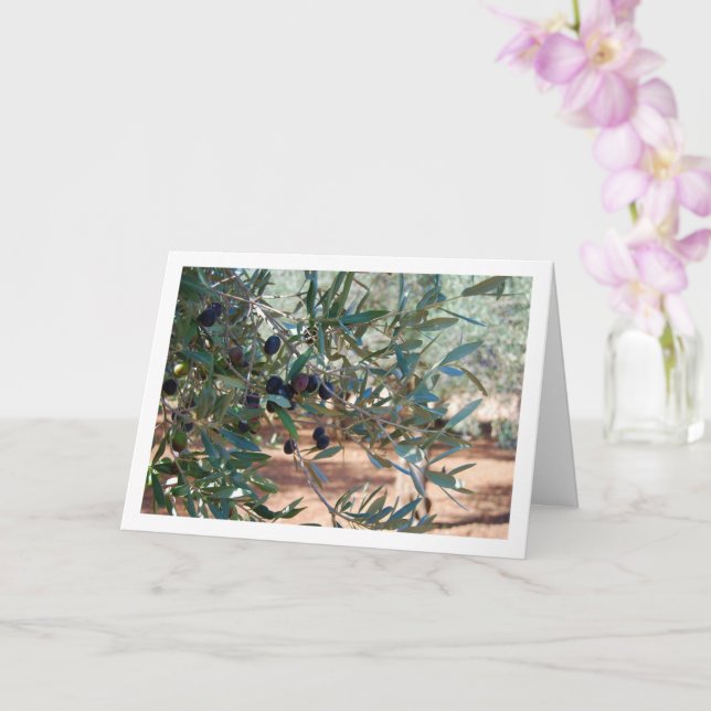 Olivträdsporträtt Kort (Orkide)
