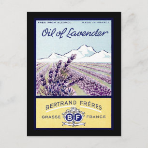 Olja av Lavender - Grasse Frankrike Vykort