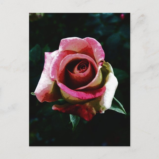 Oljelagat röd ros helg vykort (Framsida)