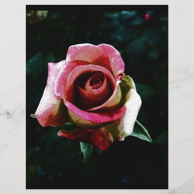 Oljelagat röd ros reklamblad (Framsidan)