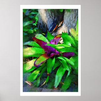 Oljemålning för Tropical Bromeliads Poster