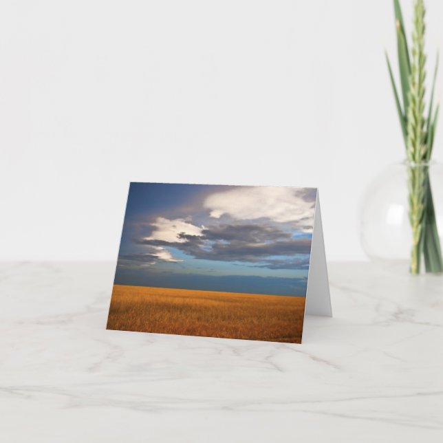 Oljemålning för vetekort i Fält Bra Kort (Framsida)