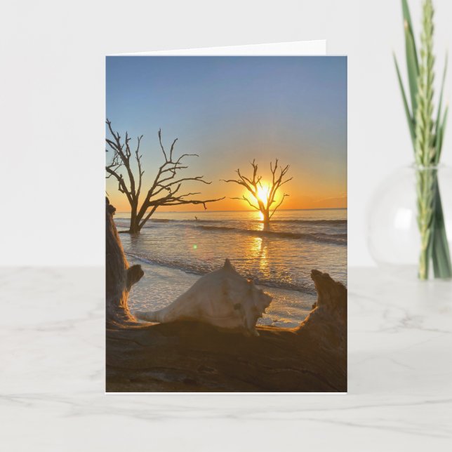 Oljeuppgång för botaniskt segment #1-hälsningskort kort (Framsida)