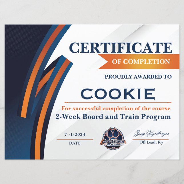 OLK9-certifikat #3 (Framsida)