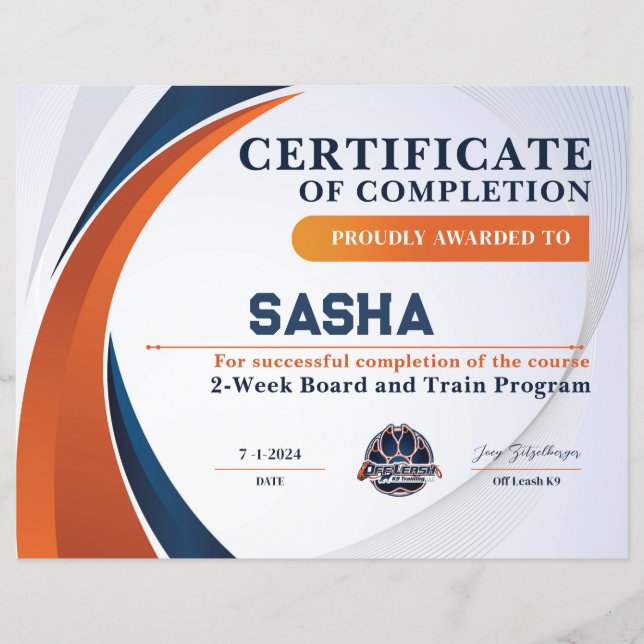 OLK9-certifikat #6 (Framsida)