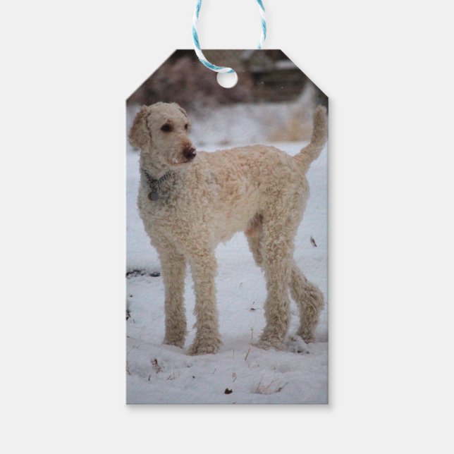 Ollie Presentetikett (Framsidan)