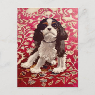 Ollie, vykort