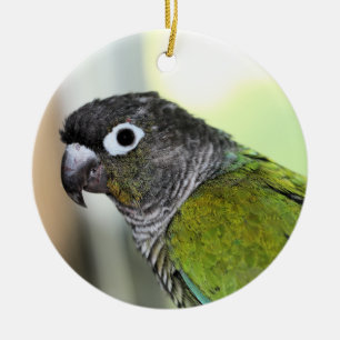 Ollie wallie julgransprydnad keramik