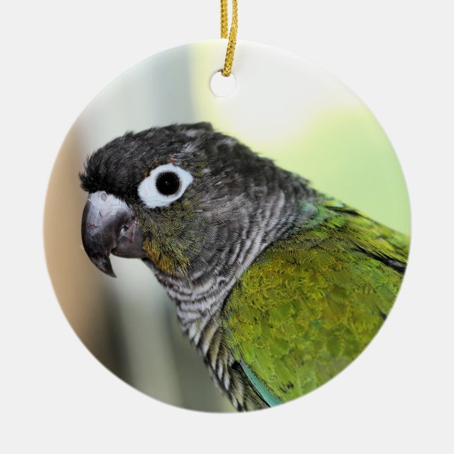 Ollie wallie julgransprydnad keramik (Framsidan)