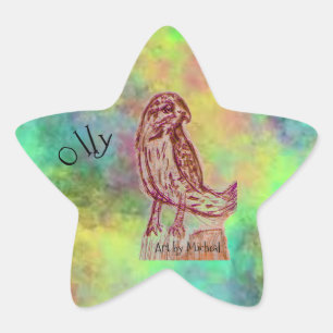 Olly Stickers Stjärnformat Klistermärke