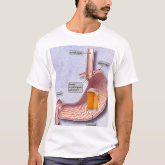 Ölmage Tee
