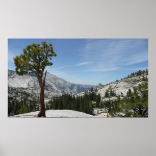 Olmsted Point I i Yosemite National Park Poster