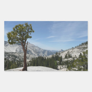 Olmsted Point I i Yosemite National Park Rektangulärt Klistermärke