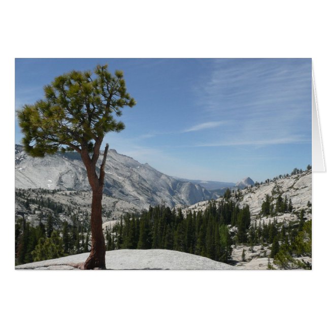 Olmsted Point I i Yosemite nationalpark Hälsningskort (Framsidan Horizontal)