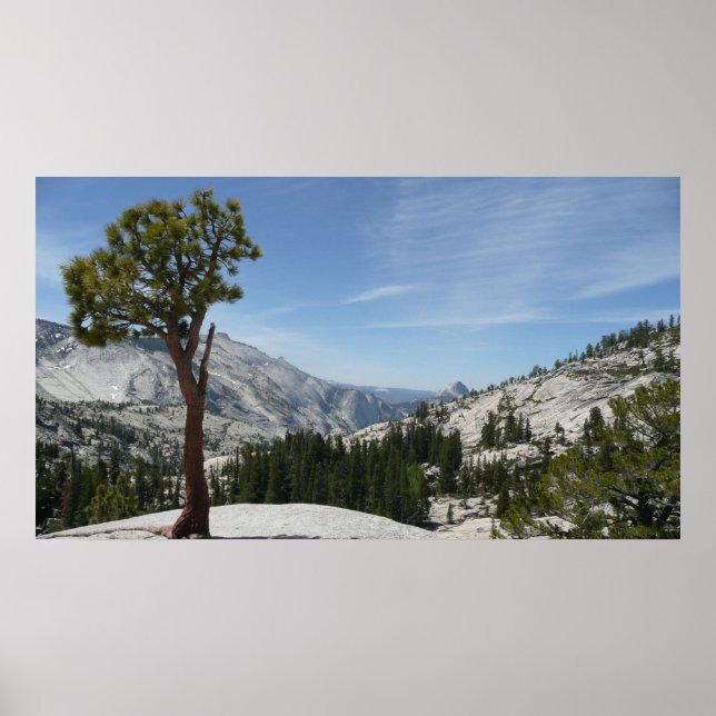 Olmsted Point I i Yosemite nationalpark Poster (Framsidan)