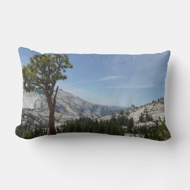 Olmsted Point I vid Yosemite National Park Lumbarkudde (Framsida)