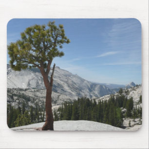 Olmsted Point I vid Yosemite National Park Musmatta