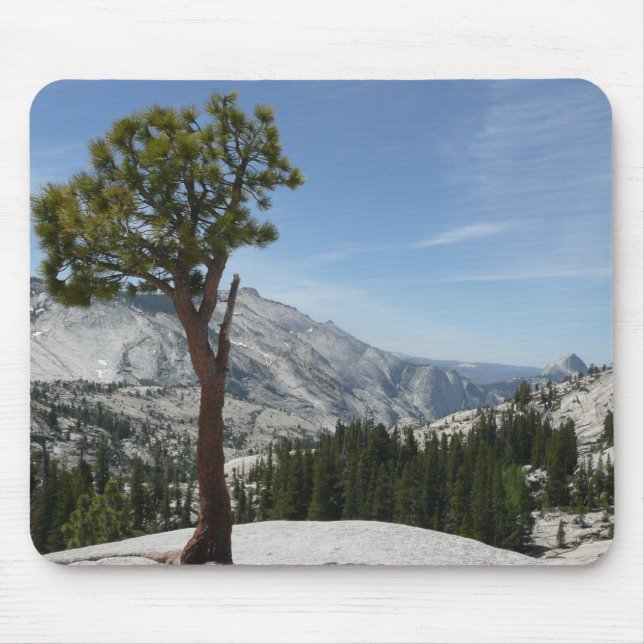 Olmsted Point I vid Yosemite National Park Musmatta (Framsidan)