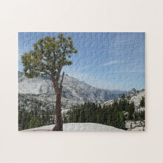 Olmsted Point I vid Yosemite National Park Pussel (Horisontell)