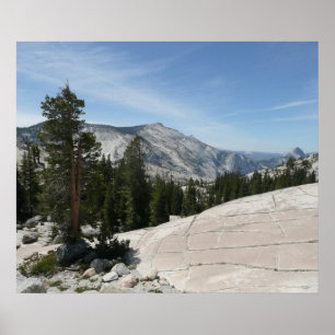 Olmsted Point II från Yosemite National Park Poster