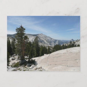 Olmsted Point II från Yosemite National Park Vykort