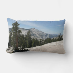 Olmsted Point II från Yosemite nationalpark Lumbarkudde