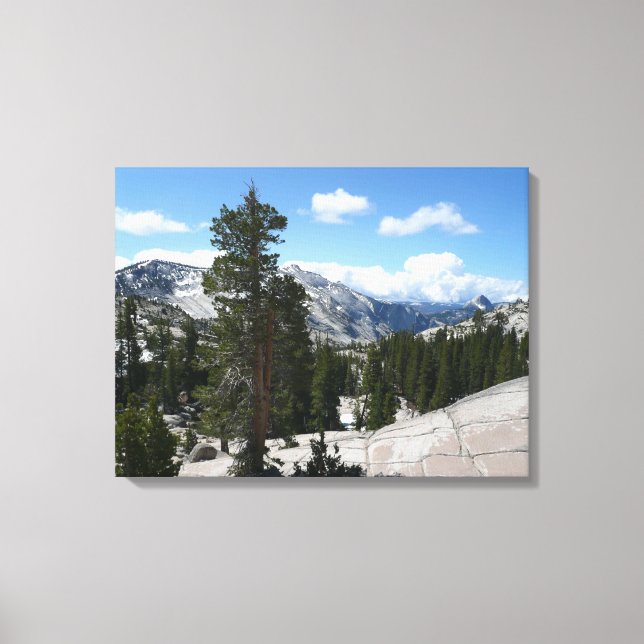 Olmsted Point III i Yosemite National Park Canvastryck (Framsida)