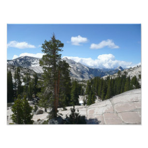 Olmsted Point III i Yosemite National Park Fototryck