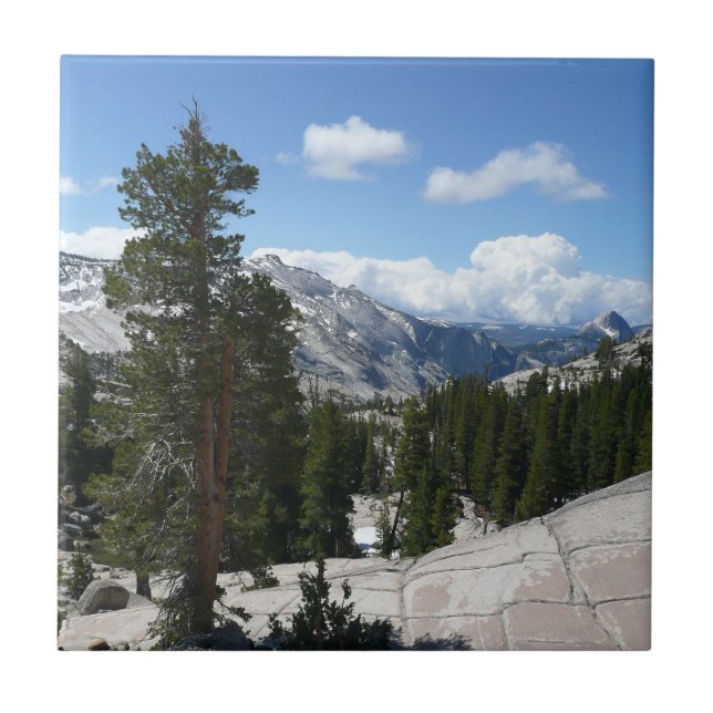 Olmsted Point III i Yosemite National Park Kakelplatta (Framsidan)