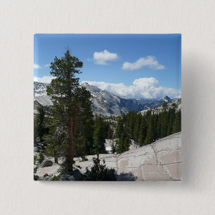 Olmsted Point III i Yosemite National Park Knapp