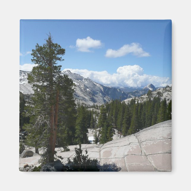 Olmsted Point III i Yosemite National Park Magnet (Framsidan)