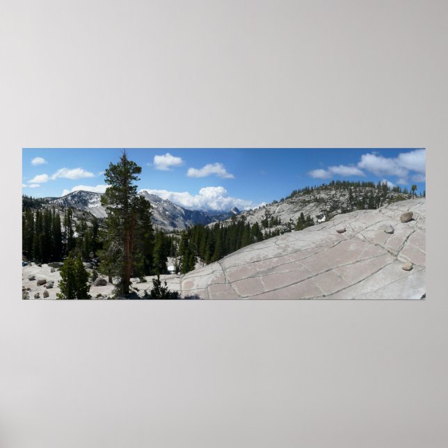 Olmsted Point III i Yosemite National Park Poster (Framsidan)