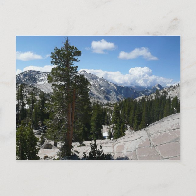 Olmsted Point III i Yosemite nationalpark Vykort (Framsida)