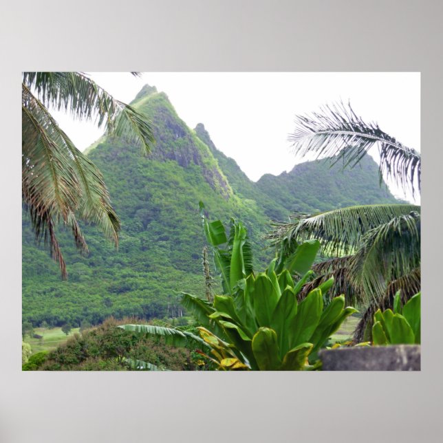 Olomanas berg poster (Framsidan)