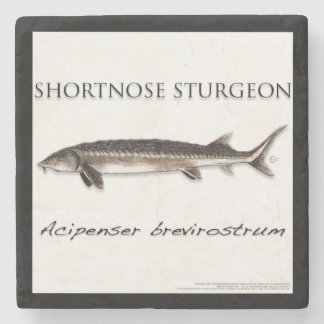 ÖLUNDERSÄTTARE - STÖR KORTNÄSA - acigifts@yahoo.co Stenunderlägg