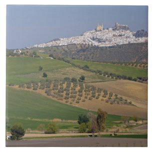 Olvera, Andalusien, Spanien Kakelplatta